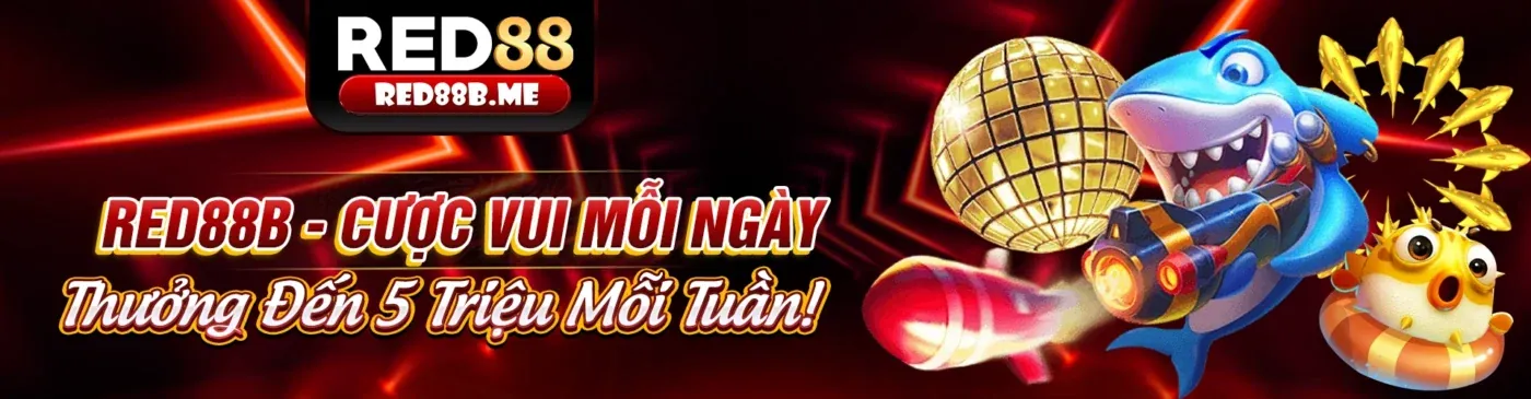 Hình ảnh đại diện cho Chính sách Cookie và bảo vệ quyền riêng tư của hu88888